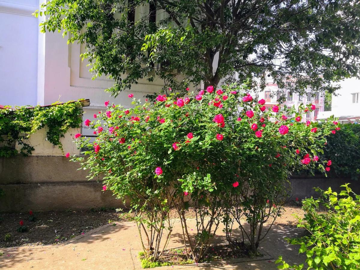 Promenada Apartment Κονστάντζα Εξωτερικό φωτογραφία